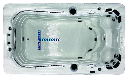 Dynasty Spas Aquex 13' Pro
